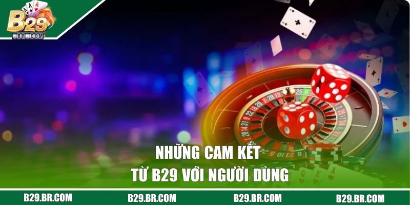 Những cam kết từ B29 với người dùng