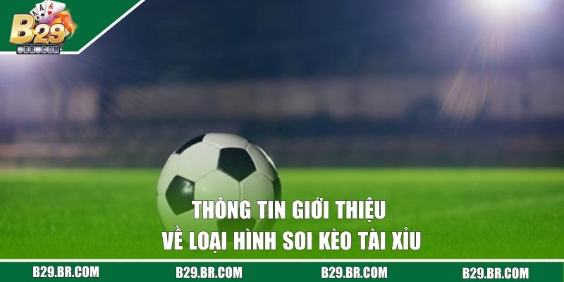 Thông tin giới thiệu về loại hình soi kèo tài xỉu